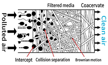 The filtering principle of Brownian motion