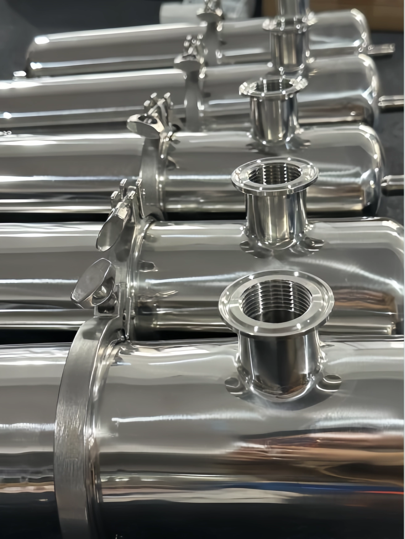 Stainless Steel Sterilizing Filter